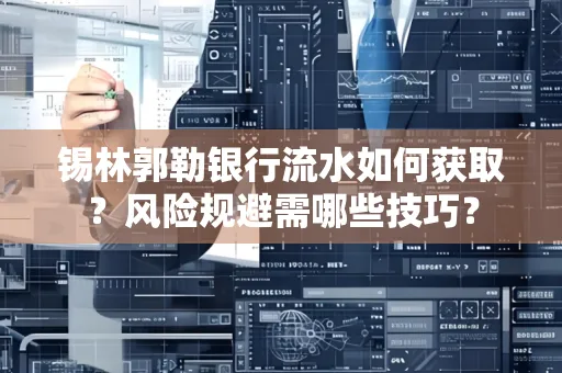 锡林郭勒银行流水如何获取?风险规避需哪些技巧?