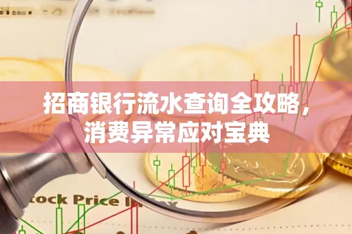 招商银行流水查询全攻略,消费异常应对宝典