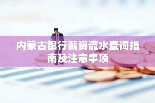 内蒙古银行薪资流水查询指南及注意事项