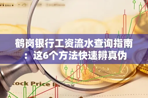 鹤岗银行工资流水查询指南:这6个方法快速辨真伪