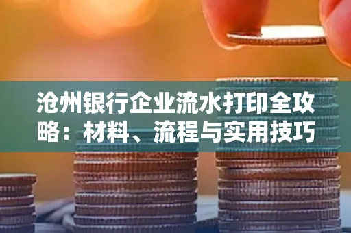 沧州银行企业流水打印全攻略:材料、流程与实用技巧