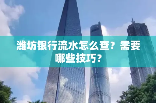潍坊银行流水怎么查?需要哪些技巧?