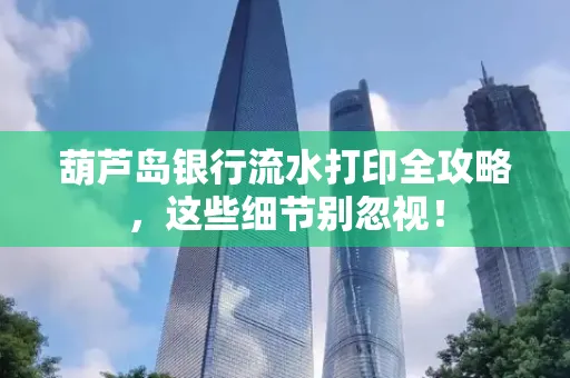 葫芦岛银行流水打印全攻略,这些细节别忽视!