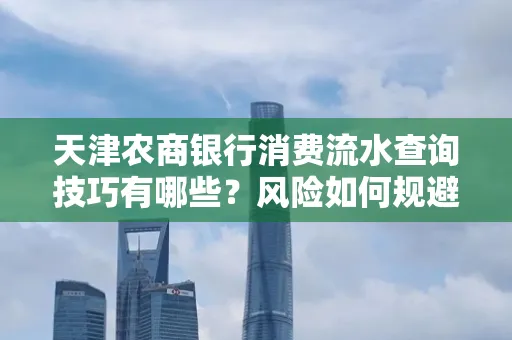 天津农商银行消费流水查询技巧有哪些?风险如何规避?