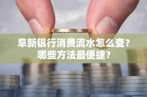 阜新银行消费流水怎么查？哪些方法最便捷？