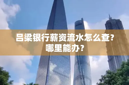 吕梁银行薪资流水怎么查?哪里能办?