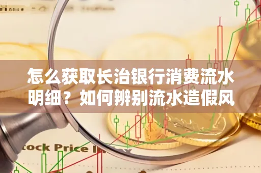 怎么获取长治银行消费流水明细？如何辨别流水造假风险？