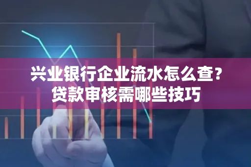 兴业银行企业流水怎么查？贷款审核需哪些技巧