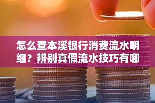 怎么查本溪银行消费流水明细?辨别真假流水技巧有哪些?