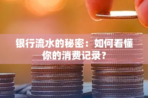 银行流水的秘密:如何看懂你的消费记录?