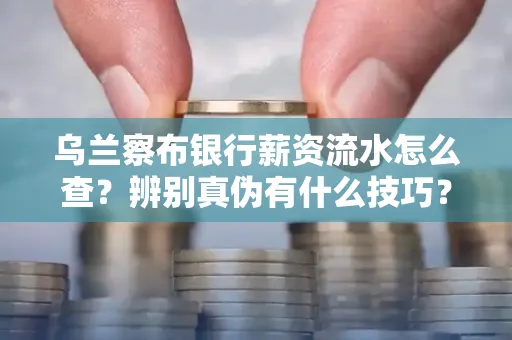 乌兰察布银行薪资流水怎么查?辨别真伪有什么技巧?