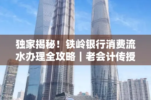 独家揭秘!铁岭银行消费流水办理全攻略|老会计传授防诈技巧