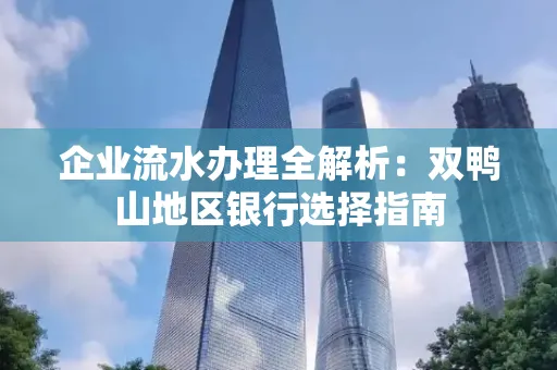 企业流水办理全解析:双鸭山地区银行选择指南