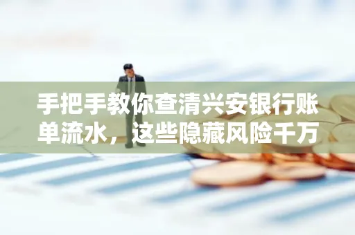 手把手教你查清兴安银行账单流水,这些隐藏风险千万注意!