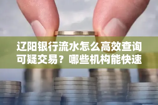 辽阳银行流水怎么高效查询可疑交易?哪些机构能快速分析账单风险?