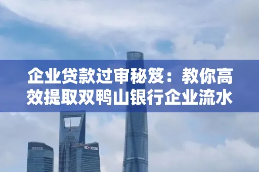 企业贷款过审秘笈:教你高效提取双鸭山银行企业流水