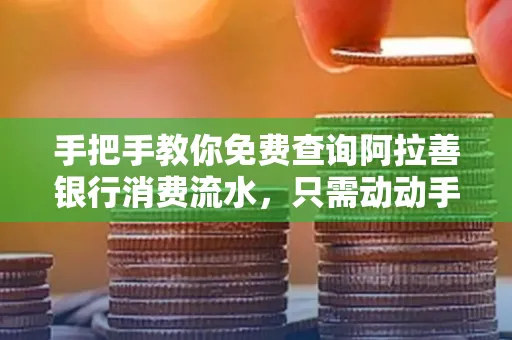 手把手教你免费查询阿拉善银行消费流水,只需动动手指就能完成