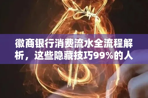 徽商银行消费流水全流程解析,这些隐藏技巧99%的人不知道