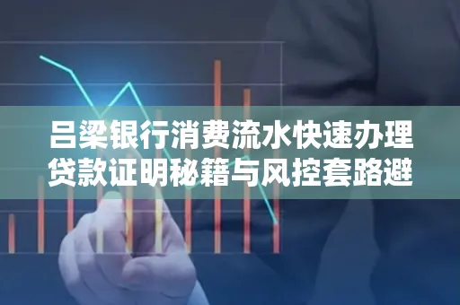 吕梁银行消费流水快速办理贷款证明秘籍与风控套路避坑指南