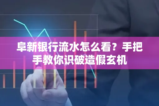 阜新银行流水怎么看?手把手教你识破造假玄机