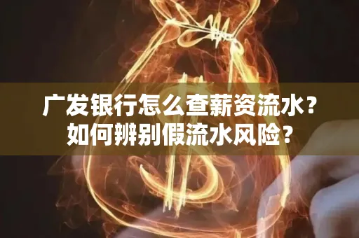 广发银行怎么查薪资流水?如何辨别假流水风险?