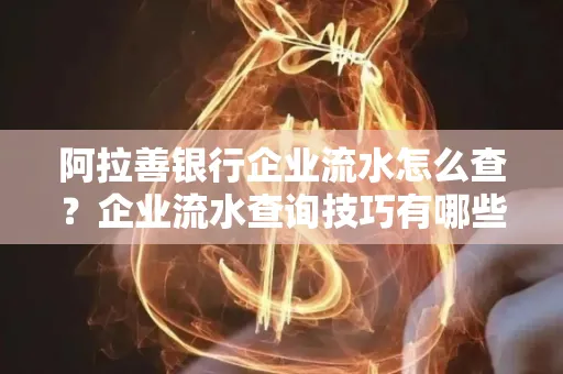 阿拉善银行企业流水怎么查?企业流水查询技巧有哪些?