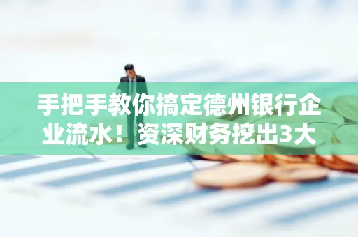 手把手教你搞定德州银行企业流水!资深财务挖出3大隐藏风险点