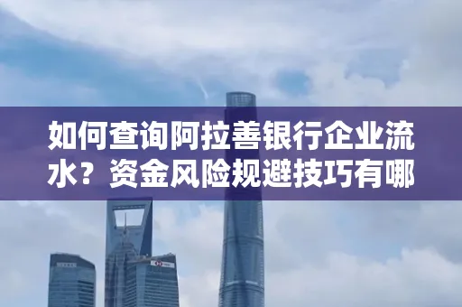 如何查询阿拉善银行企业流水?资金风险规避技巧有哪些?