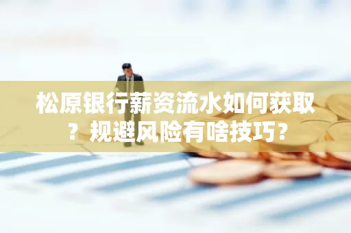 松原银行薪资流水如何获取？规避风险有啥技巧？
