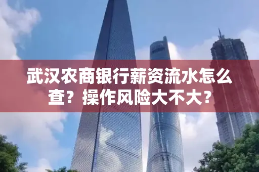 武汉农商银行薪资流水怎么查?操作风险大不大?