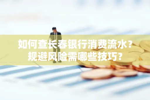 如何查长春银行消费流水?规避风险需哪些技巧?