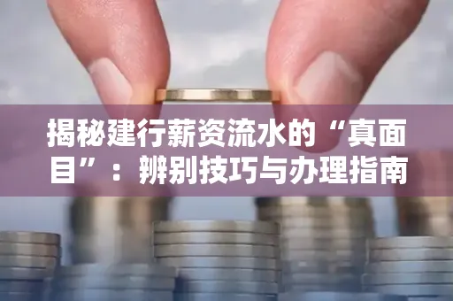 揭秘建行薪资流水的“真面目”:辨别技巧与办理指南大公开