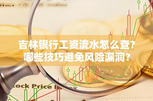 吉林银行工资流水怎么查？哪些技巧避免风险漏洞？