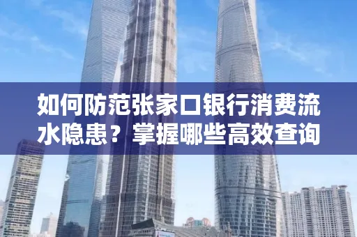 如何防范张家口银行消费流水隐患?掌握哪些高效查询技巧?